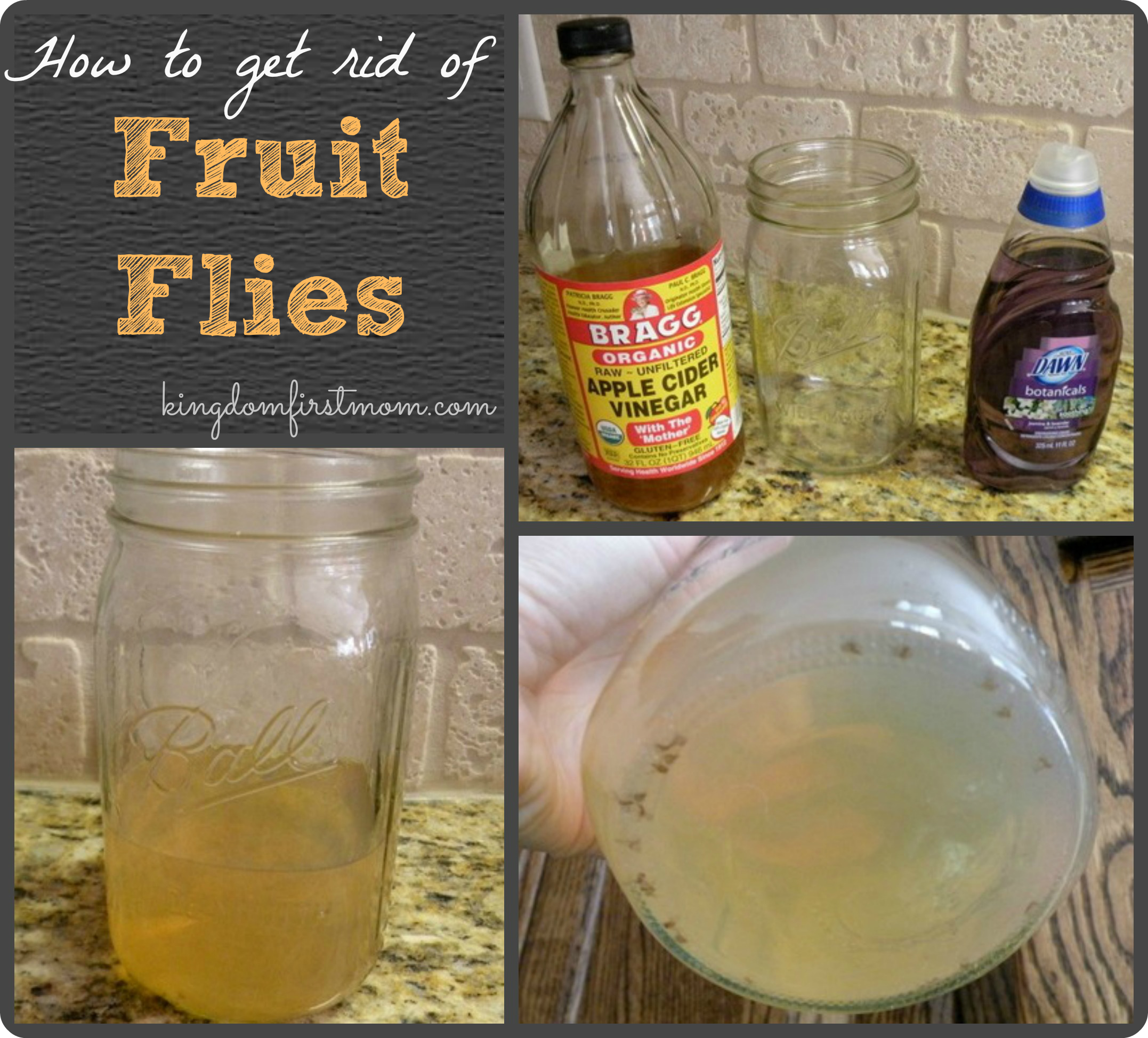  How To Get Rid Of Fruit Flies 