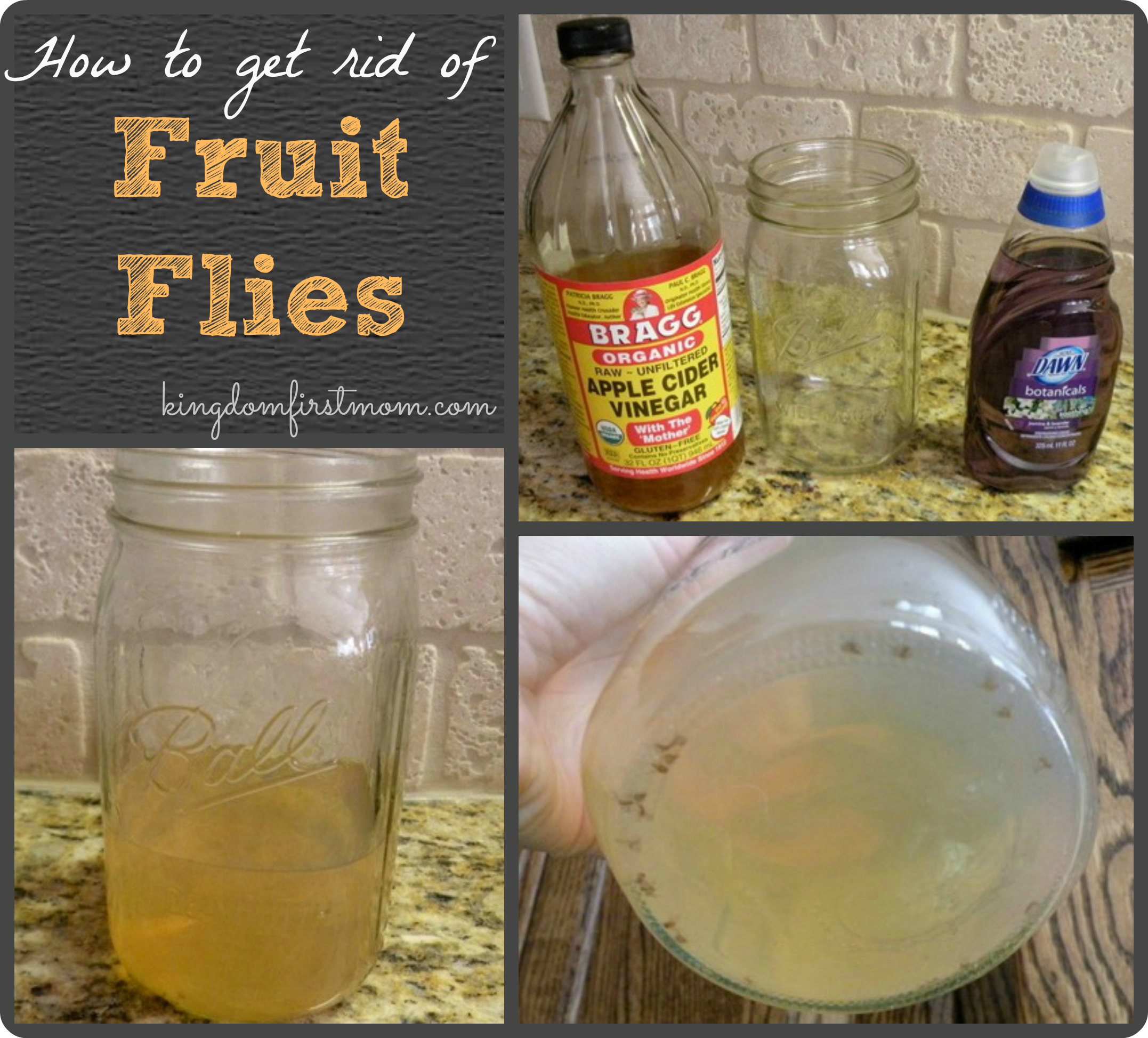 How to Get Rid of Fruit Flies in Your Home for Good